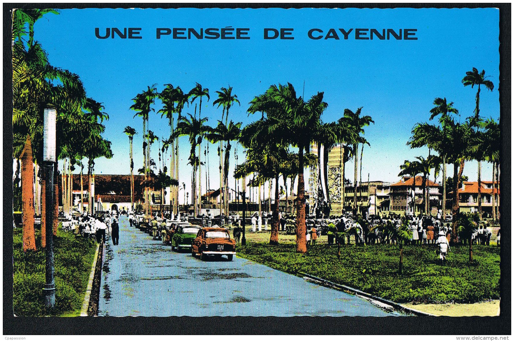 GUYANE - Une Pensée De CAYENNE - Place Des Palmistes  Cpsm Couleur -recto Verso  -PAYPAL SANS FRAIS - Cayenne