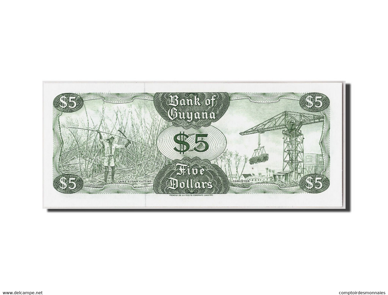 Billet, Guyana, 5 Dollars, Undated (1992), KM:22f, NEUF - Guyana