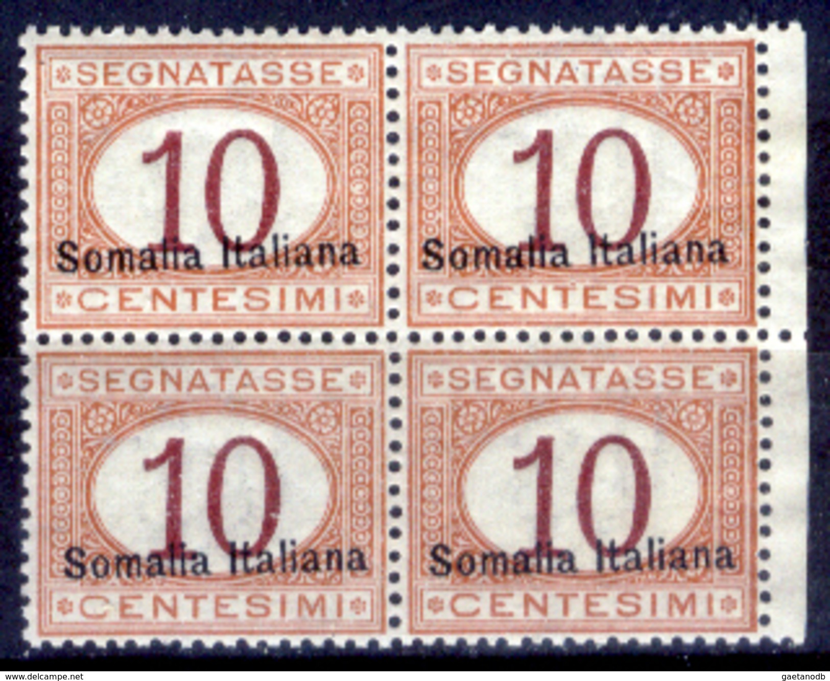 Italia-F01428 - Somalia 1920: Taxe, Sassone N. 24 (++) MNH -Un Solo Simile Valore - Privo Di Difetti Occulti. - Somalia