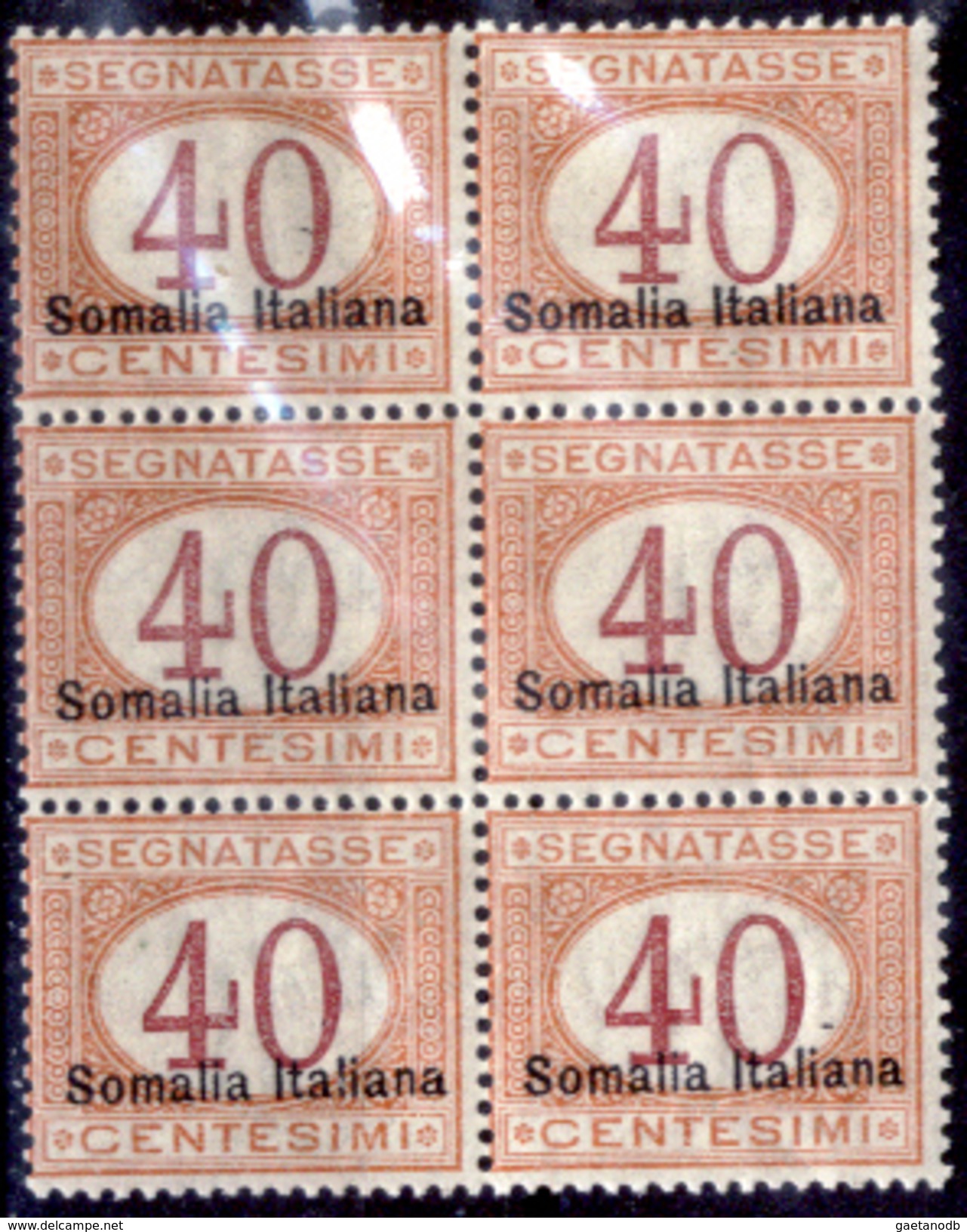 Italia-F01434 - Somalia 1920: Taxe, Sassone N. 27 (++) MNH -Un Solo Simile Valore - Privo Di Difetti Occulti. - Somalia