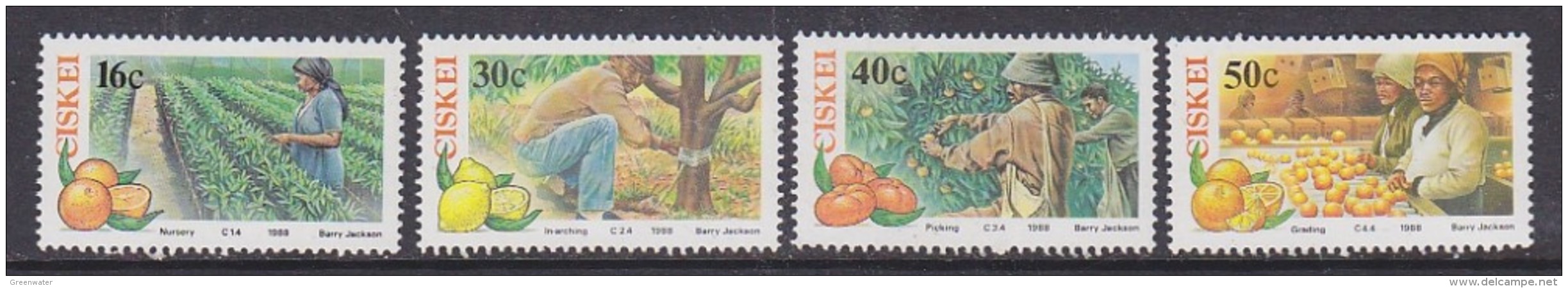 Ciskei 1988 Citrus Farming Fruit 4v   ** Mnh (31807) - Ciskei