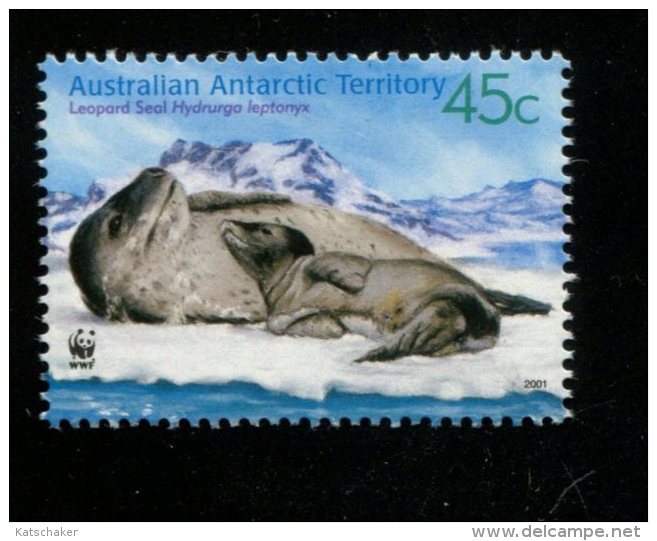 395076504 AUSTRALIAN ANTARCTIC TERRITORY 2001  POSTFRIS MINT YVERT 145 - Neufs