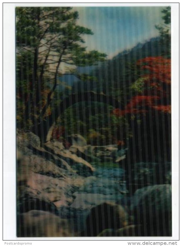 KOREA, Tridimensional, Double Image, 3D, Lenticulaire  ( 2 Scans ) - Corea Del Norte