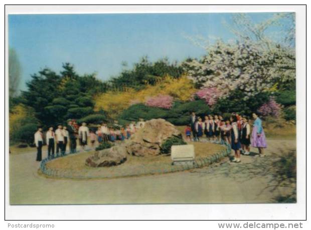 KOREA, Tridimensional, Double Image, 3D, Lenticulaire  ( 2 Scans ) - Korea, North