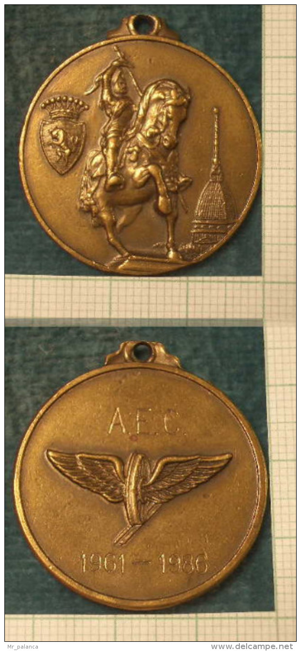 M_p>Medaglia AEC ( Association Europeenne Des Cheminots ) - Torino 1961 - 1986 - Bronzo - Professionals/Firms