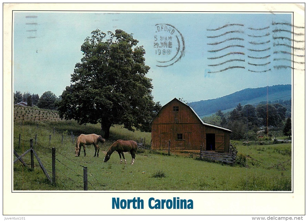 CPSM North Carolina   L2181 - Autres & Non Classés