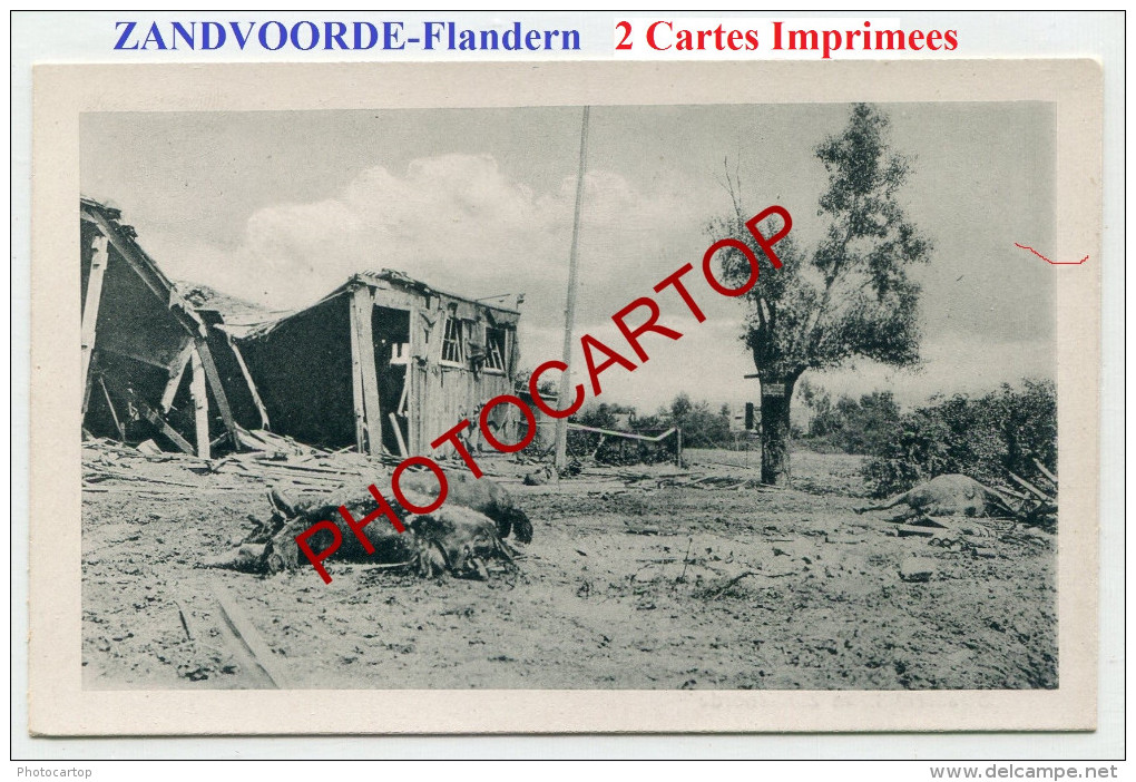 ZANDVOORDE-Cadavres-Chevaux-2x CARTES Imprimees Allemandes-Guerre 14-18-1 WK-BELGIEN-FLANDERN- - Zonnebeke