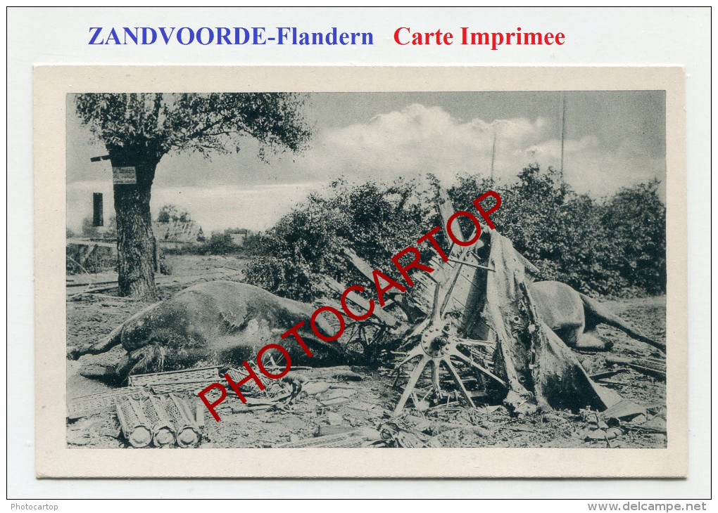 ZANDVOORDE-Cadavres-Chevaux-2x CARTES Imprimees Allemandes-Guerre 14-18-1 WK-BELGIEN-FLANDERN- - Zonnebeke