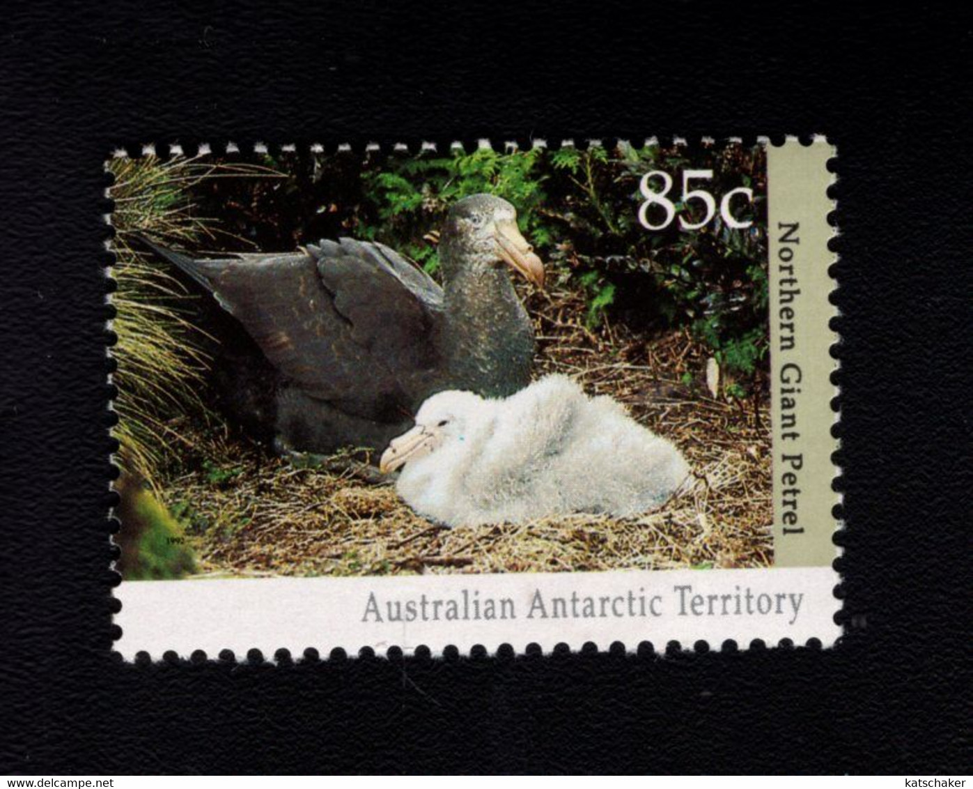 AUSTRALIAN ANTARCTIC TERRITORY 1986  POSTFRIS MINT YVERT 92 - Nuevos