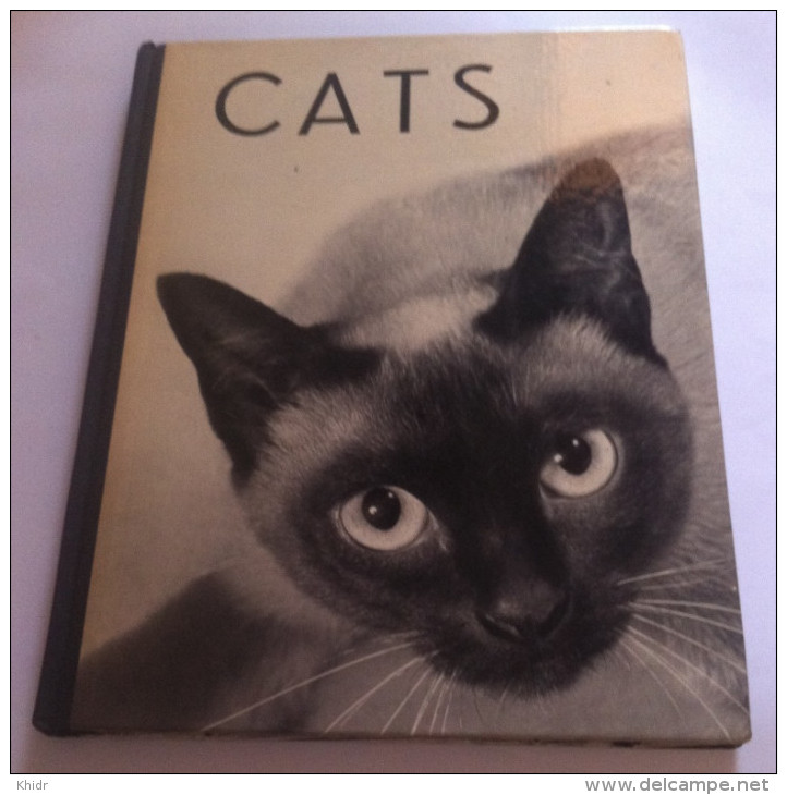 Cats - Livre Relié  Reich Hanns LIVRE EN ANGLAIS - Fotografía