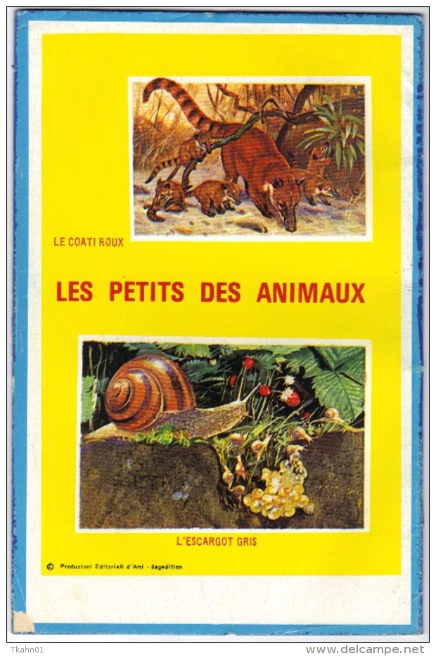 SUPER-TARZAN  N° 33 " SAGEDITION " DE 1981 - Tarzan