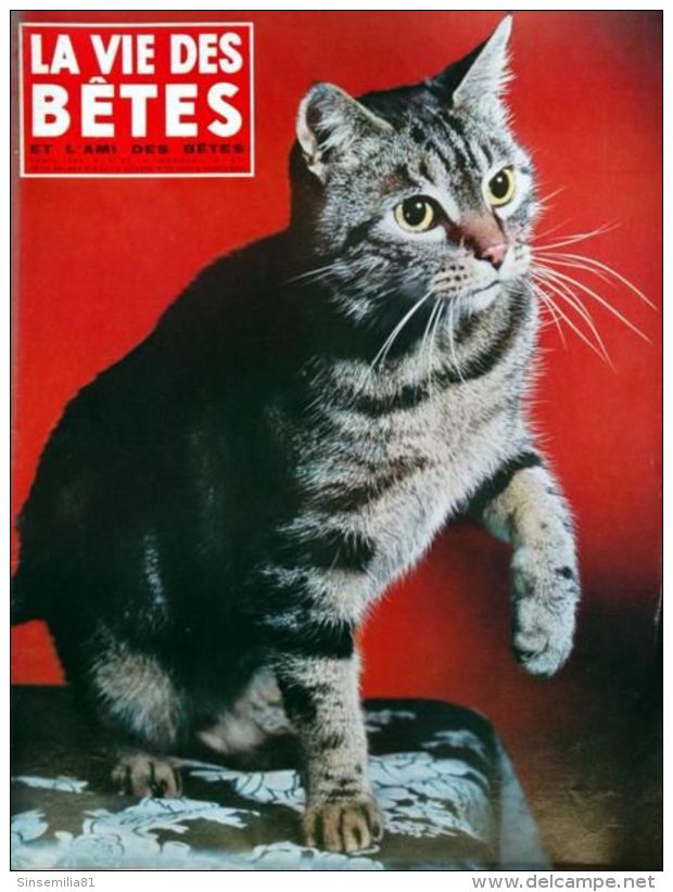 Vie Des Betes (La) N° 57 Du 01/04/1963 - La Mort Des Betes Dans La Foret De Fontainebleau - Les Habitants De La Terre Ad - Animaux