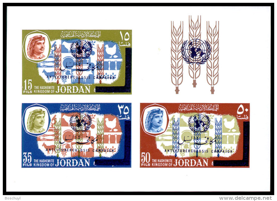 Jordan, 1966, Anti Tuberculosis Campaign, WHO, OMS, United Nations, MNH Imperforated Overprinted, Michel Block 34 - Jordan