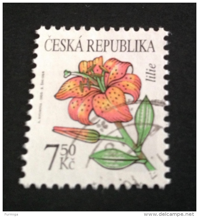 Repubblica Ceca - 2005 Usato 422 Rund Gestempelt Czech Republik Used - Oblitérés