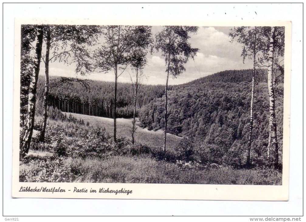 4990 LÜBBECKE, Partie Im Wiehengebirge, 1958 - Lübbecke