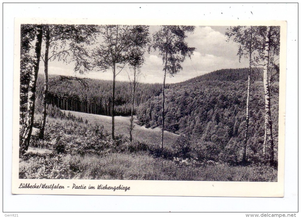4990 LÜBBECKE, Partie Im Wiehengebirge, 1958 - Luebbecke