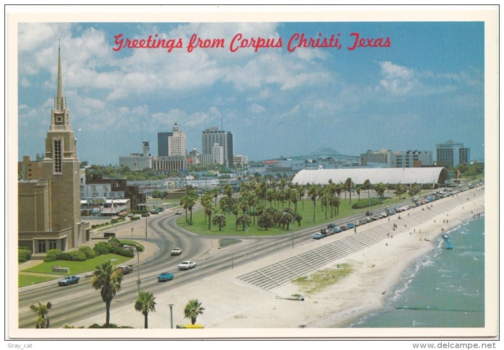 Greetings From Corpus Christi, Texas, Unused Postcard [18660] - Corpus Christi