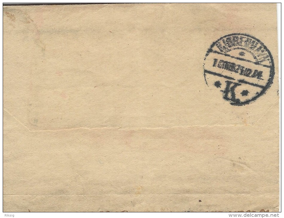 Argentina   Postal Stationery  Wrapper To Denmark  S-2053 - Postal Stationery