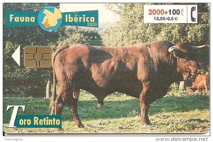 CARTE-PUCE-ESPAGNE-2000-TOROS-COMBAT-TBE - Vacas