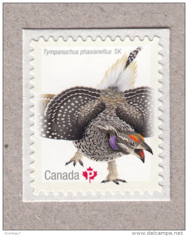 SHARP-TAILED GROUSE, Birds Of Canada  Booklet Stamp On Backing Paper, Mint Original Gum. Canada 2016 - Gallinacées & Faisans