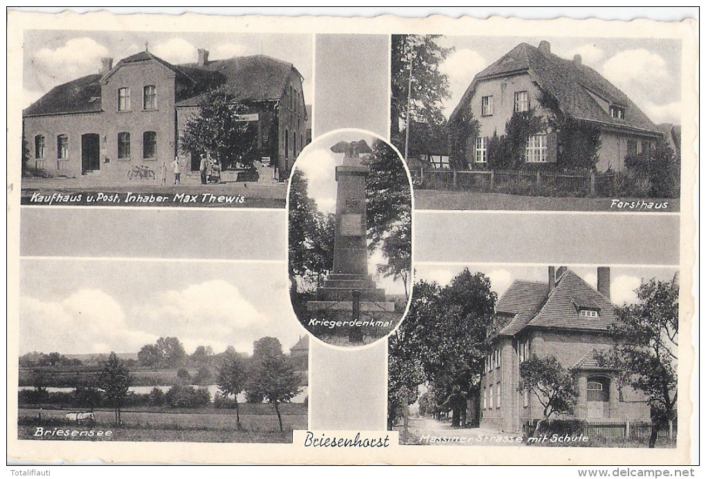 BRIESENHORST Forsthaus Kaufhaus + Post Inh Max Thewis Massiner Straße Brzezno 4.5.1939 Gelaufen - Neumark