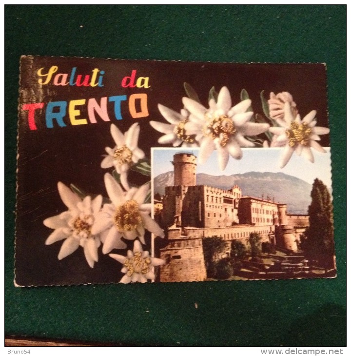 Cartolina Saluti Da Trento Stelle Alpine,castello Viaggiata 1963 - Trento