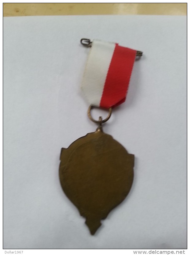 .medal - Medaille - Medaille : Medaille  W.S.V Riessen / Rijssen - Autres & Non Classés