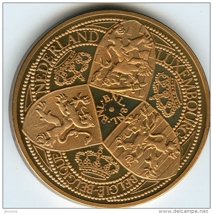 Pays-Bas Netherland Benelux Ville De Statendaalder - Monedas/ De Necesidad