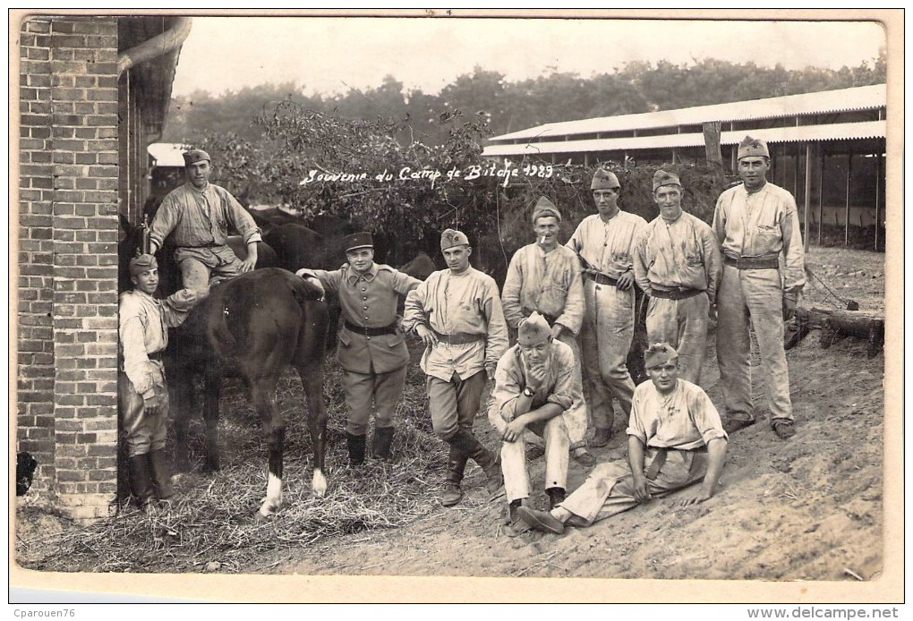 Carte Photo Ancienne Camp De  Bitche 1929 Soldats Et Officier Cheval - War, Military