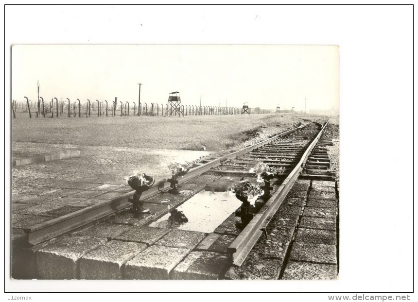 Holocaust Lager Auschwitz, Extermination Concentracion Camp Unused Pc (mi067) Judaika - Guerra 1939-45