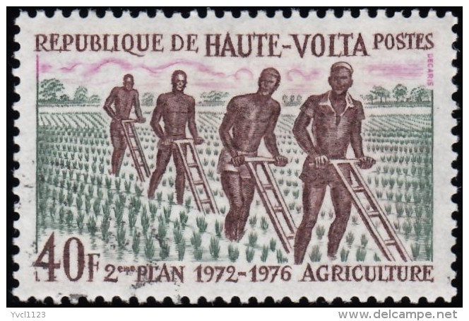 BURKINA FASO (Haute Volta) - Scott #279 The 2nd National Development Plan / Used Stamp - Upper Volta (1958-1984)