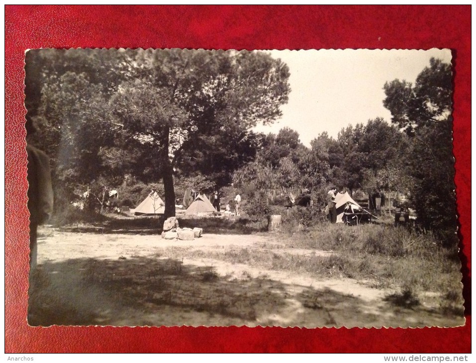 83 Var SANTA LUCIA Camping Les Tasses (RARE) - Autres & Non Classés