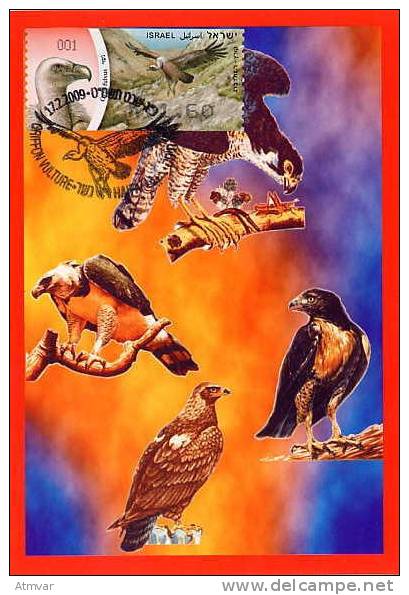 ISRAEL (2009) - Carte Maximum Card - ATM AMIEL - Gyps Fulvus / Griffon Vulture / Vautour Fauve - Bird, Oiseau - Cartoline Maximum