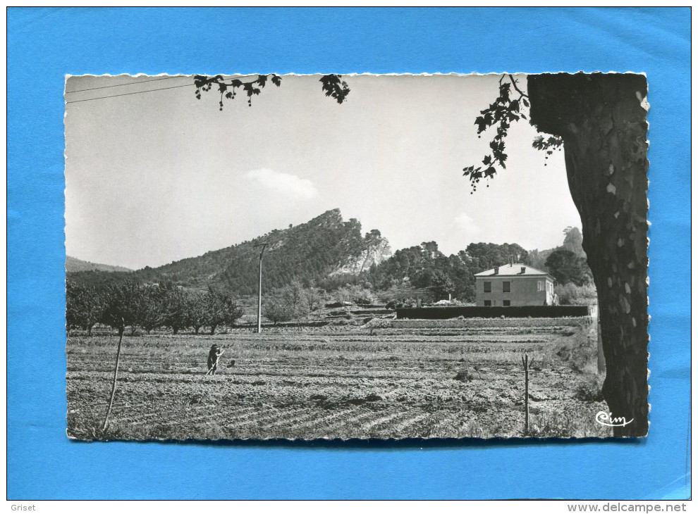 Sainte Anne D'Evenos-vers Le Vallon De Cimaï- Années 50-60-édition Combier - Other & Unclassified