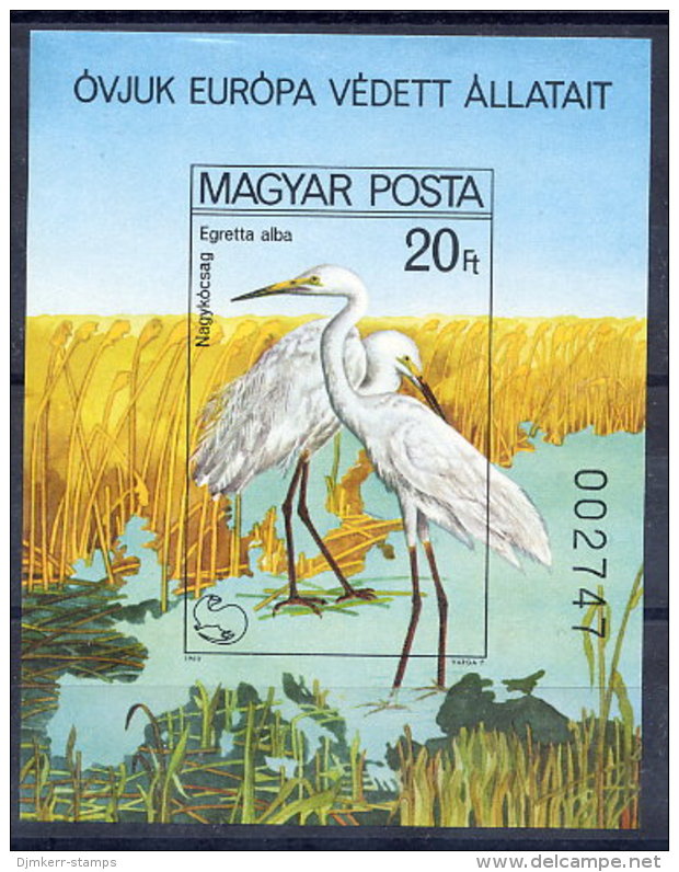 HUNGARY 1980 Nature Campaign Imperforate Block MNH / **..  Michel Block 146B - Blocchi & Foglietti