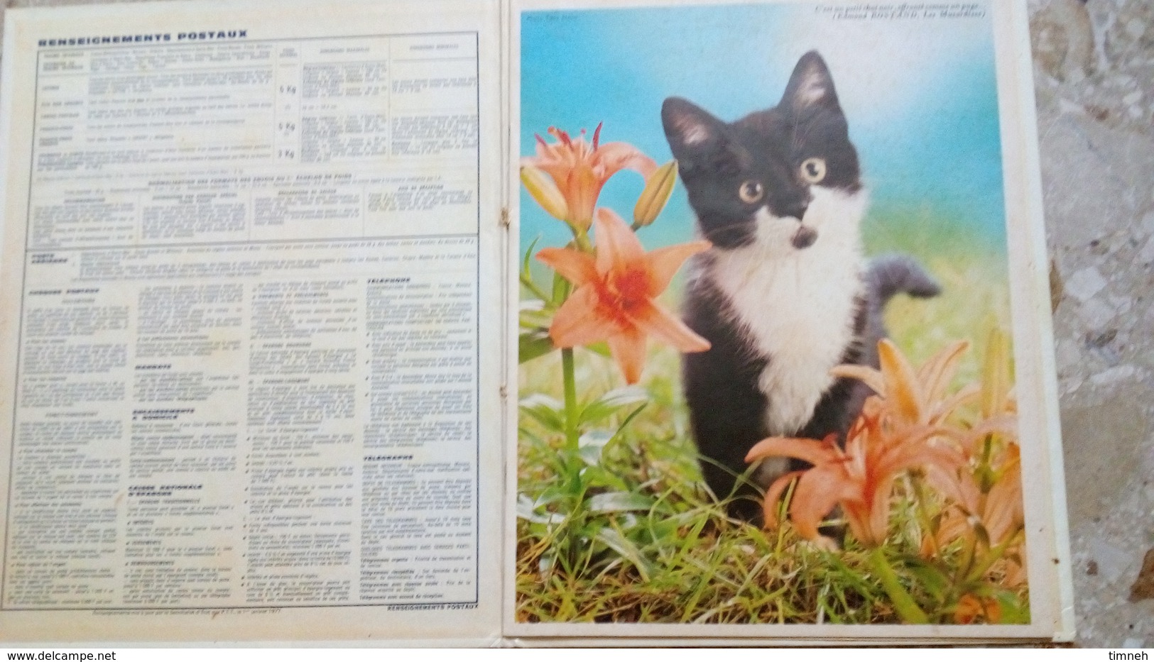 ALMANACH DES P.T.T 1978 -ENFANTS PONEY AGNEAU - CHAT - OISEAU - CHIOT -  LOIRET 45 - ORLEANS  - OBERTHUR Manque 2 Pages - Formato Grande : 1971-80