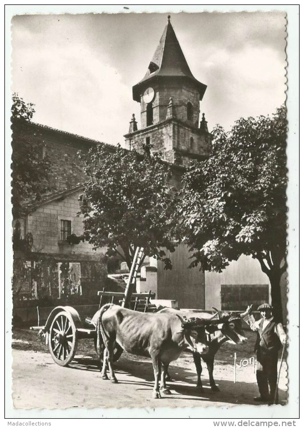 AINHOA   (64.Pyrénées-Atlantiques)  Attelage Basque Devant L'Eglise - Ainhoa