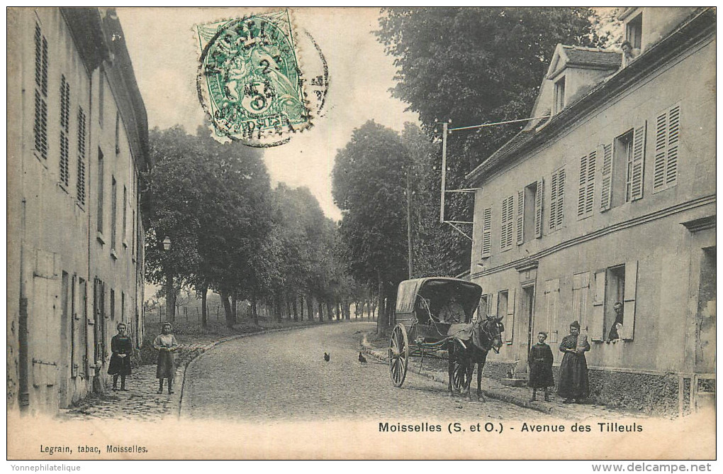 95 - MOISSELLES - Avenue Des Tilleuls - Moisselles