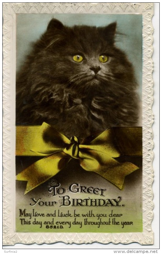 CATS - TO GREET YOUR BIRTHDAY RP Cat270 - Katzen