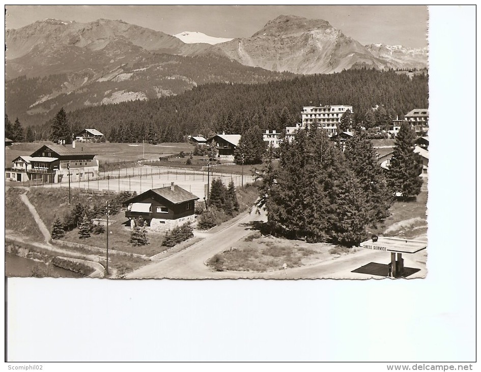 Suisse ( CP De 1951 De Crans-sur-Sierre Vers La Belgique à Voir) - Cartas & Documentos