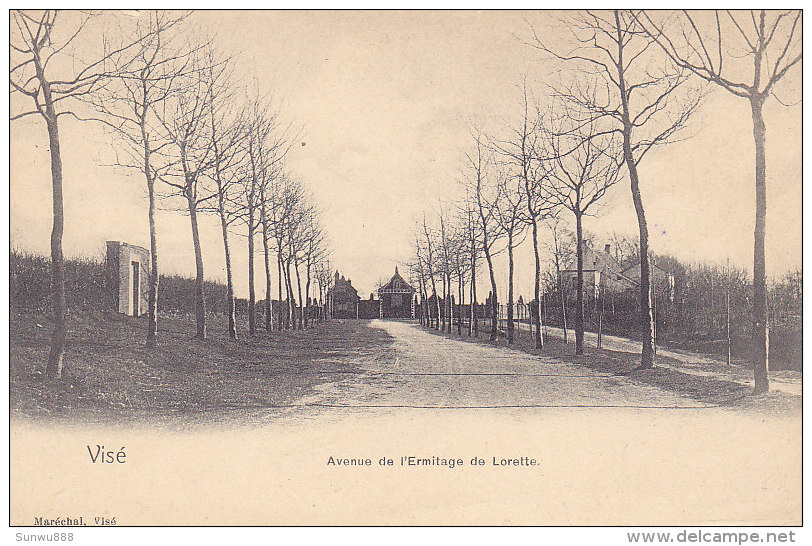 Visé - Avenue De L'Ermitage De Lorette (précurseur) - Visé