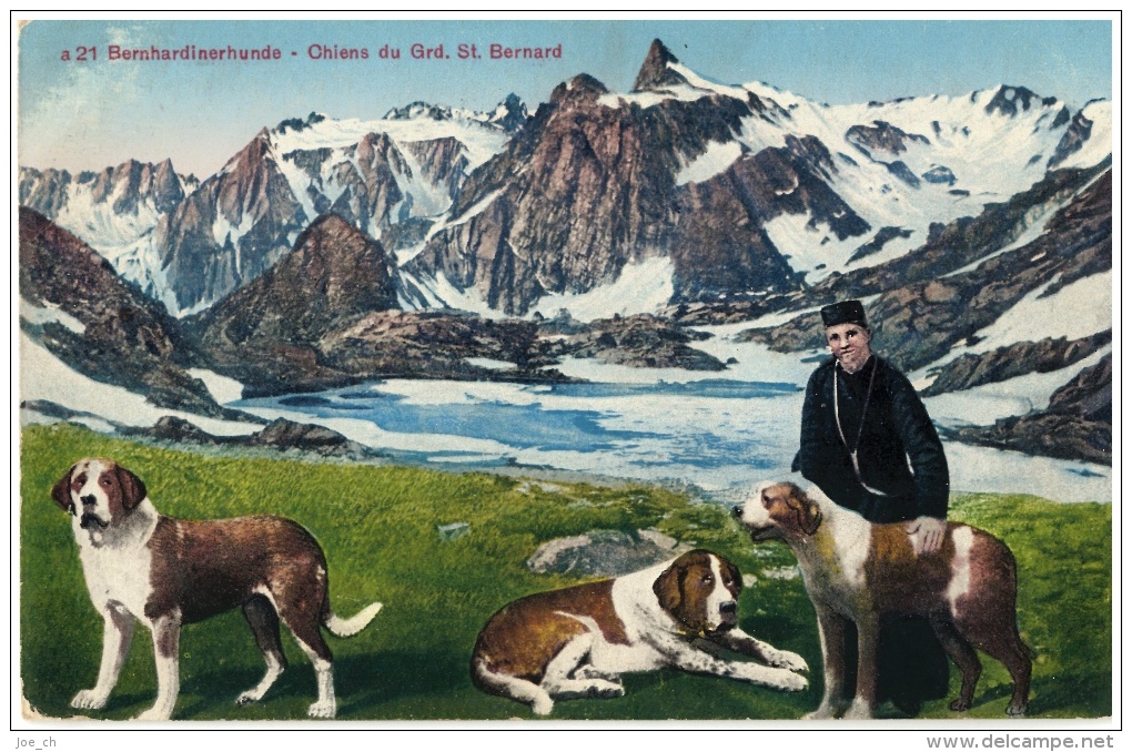 CPA Schweiz/Suisse: Bernhardienerhunde - Chiens Du Grd. St. Bernard, 1933, 2 Scans - Cani