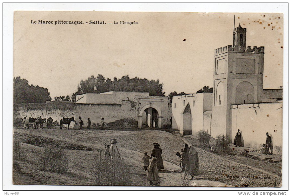 Maroc--SETTAT-- La Mosquée (très Animée,chevaux)---jolie Carte - Other & Unclassified