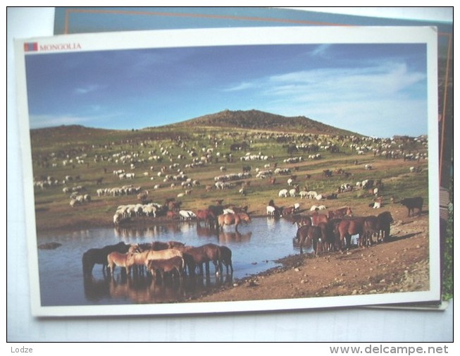 Mongolia With Horses - Mongolei