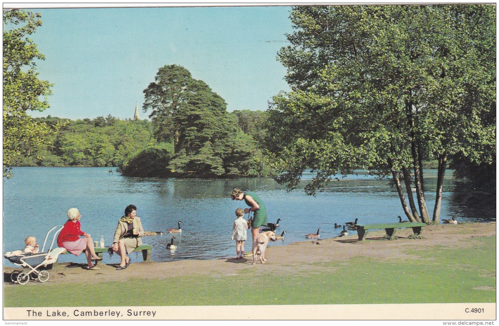 CAMBERLEY - THE LAKE - Surrey