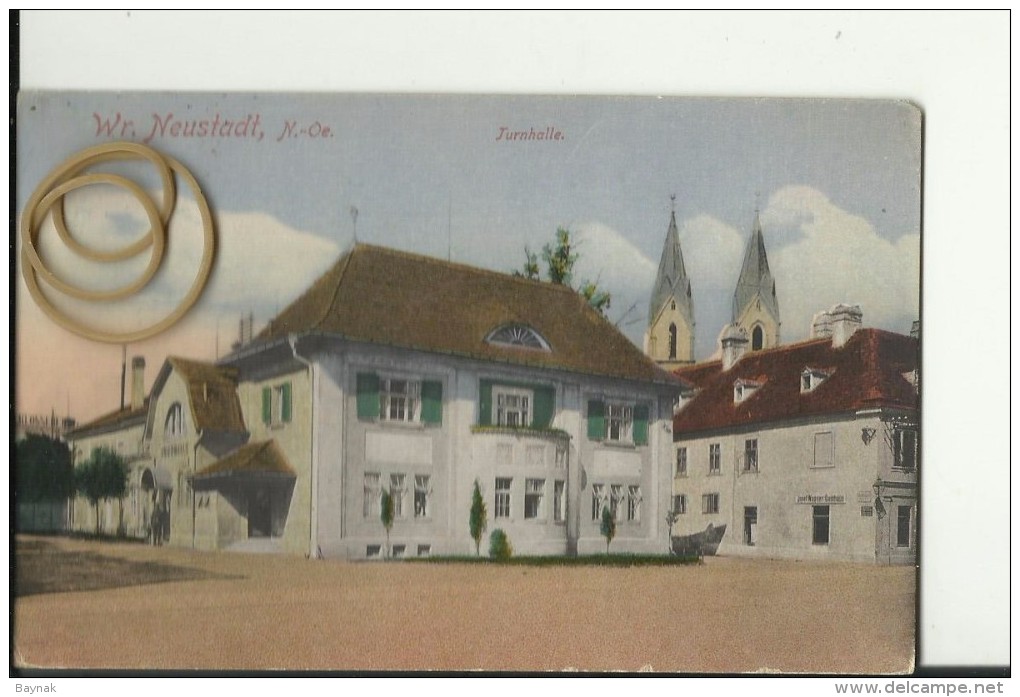 N.O.164   --  WIENER NEUSTADT   --  TURNHALLE  --  1917 - Wiener Neustadt