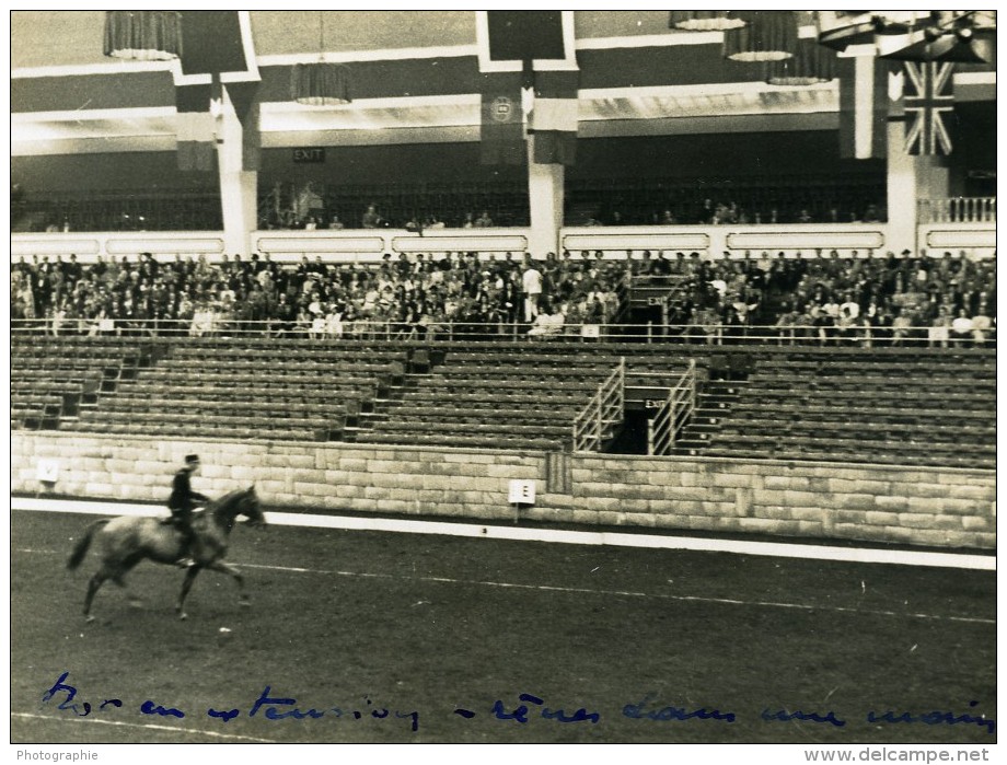 Londres London Olympia Horse Show Equitation Dressage Lieutenant Lavergne Needle Ancienne Photo 1938 - Sports