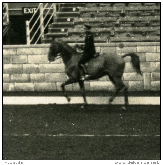 Londres London Olympia Horse Show Equitation Dressage Lieutenant Lavergne Needle Ancienne Photo 1938 - Sport