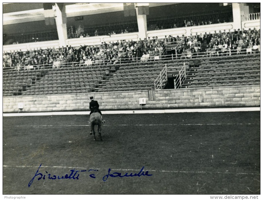 Londres London Olympia Horse Show Equitation Dressage Lieutenant Lavergne Needle Ancienne Photo 1938 - Sports