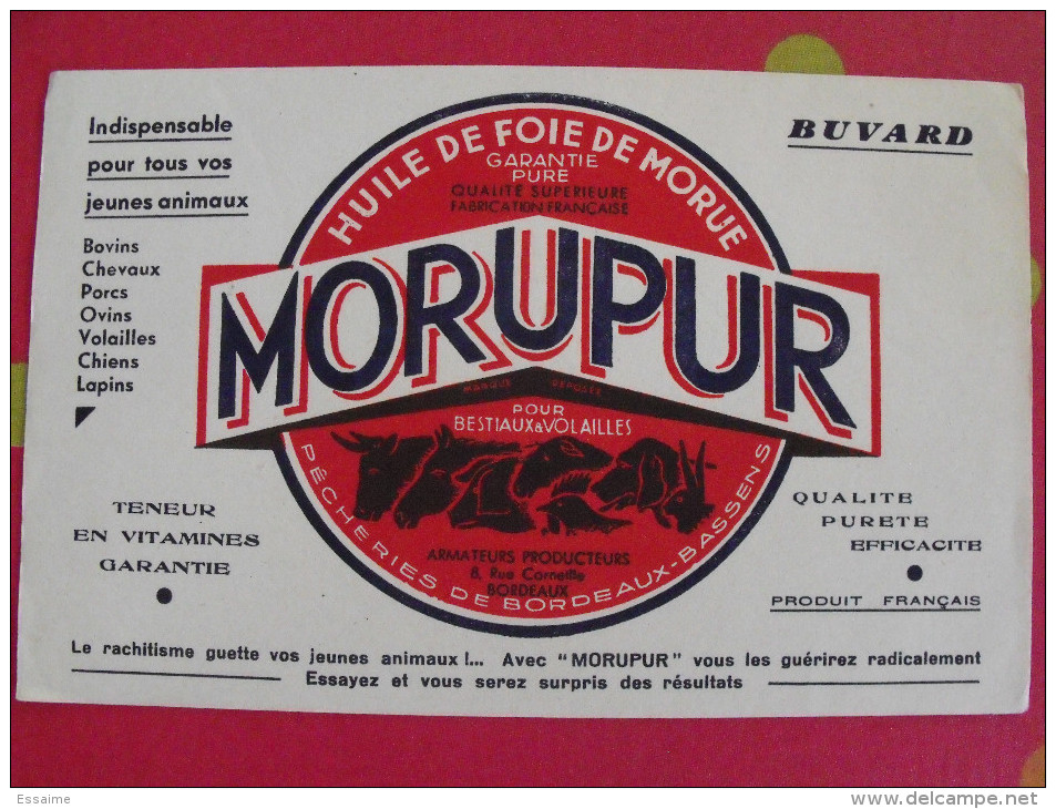 Buvard Huile De Foie De Morue Morupur Pour Bestiaux Et Volailles. Vers 1950. - Agriculture